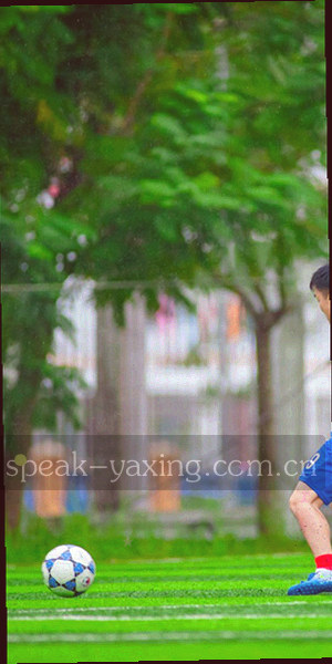 手机屏幕显示赛事数据列表，顶部有稳定性标识